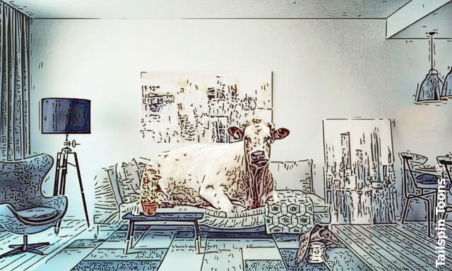 Image presenting a daily satire cartoon article post from Tailspin Toons February 15, 2021 titled "Until The Cows Home", about American patience with Covid-19 lockdowns until the cows come home. We hope you enjoy life's laughs, humor, revelry, satire and insights.
