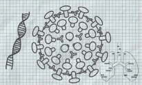 Featured image presenting a daily satire cartoon article post from Tailspin Toons January 30, 2021 titled "The Drawing Board", about the presumptious origin of the Covid-19 coronavirus. We hope you enjoy life's laughs, humor, revelry, satire and insights.