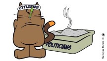 Featured image presenting a daily satire cartoon article post from Tailspin Toons February 4, 2021 titled "The Great Am-air-ican Divide", about U.S. government officials buried so deep in the cat litter they cannot smell the stench of corruptionwhile citizens easily smell it. We hope you enjoy life's laughs, humor, revelry, satire and insights.