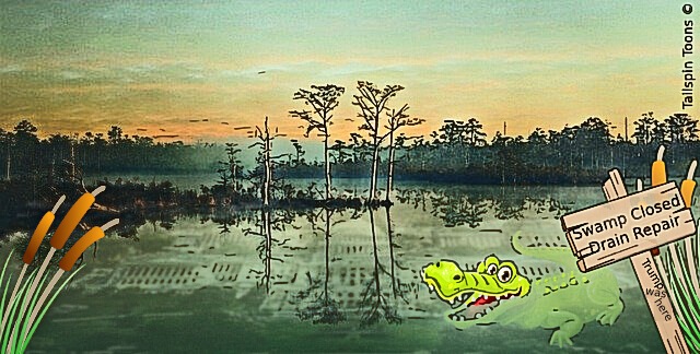 Image presenting a daily satire cartoon article post from Tailspin Toons February 8, 2021 titled "D.C. Swamp Repairs Delayed", about the delays in vanquishing the corrupt politicians in the figurative Washington D.C. swamp. We hope you enjoy life's laughs, humor, revelry, satire and insights.
